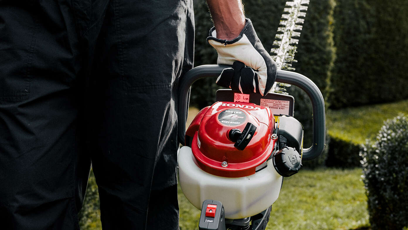 Muž držiaci plotostrih