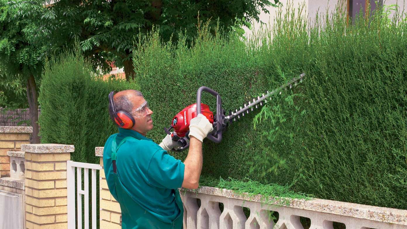 Honda hedgetrimmer in use.