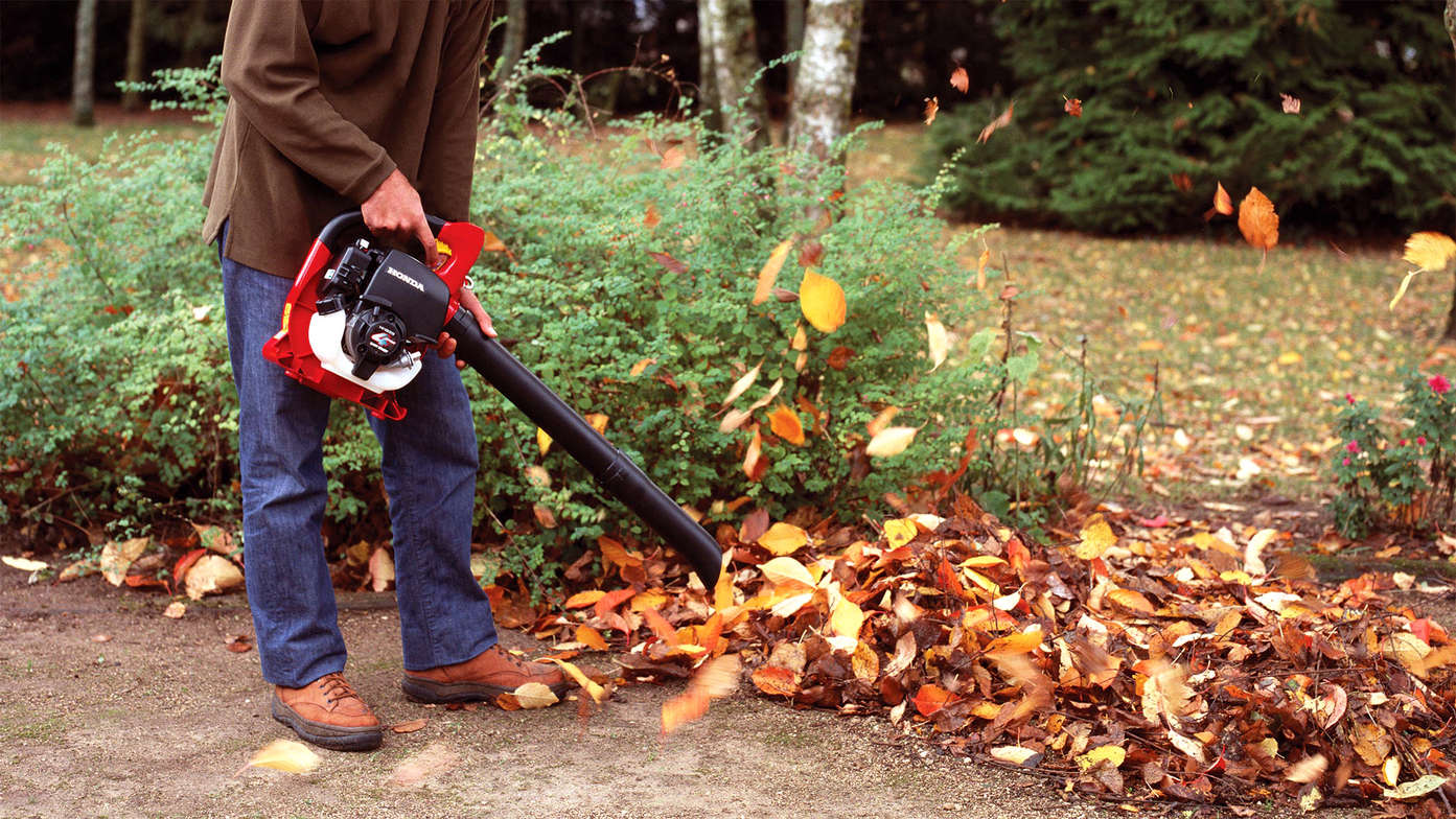 Close up of a Honda leaf blower in use.