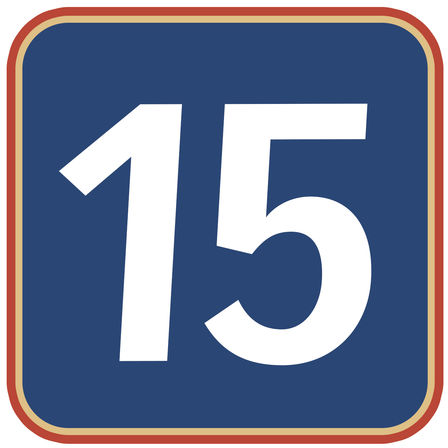 Logo 15